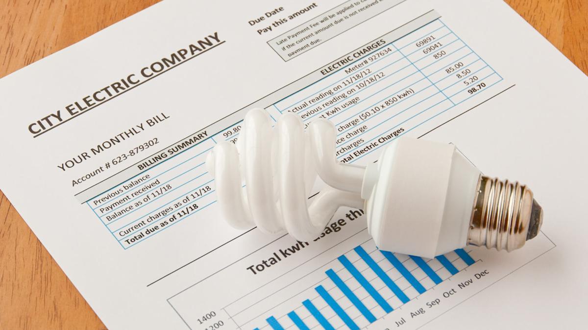 Credanapury: Effortless Electricity Bill Management